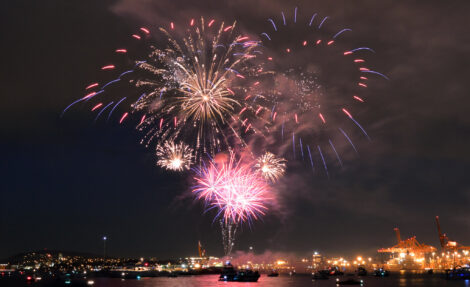 How Do Fireworks Work? Image